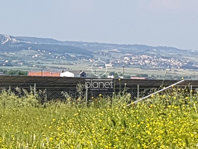 Αγροτεμάχια 7.200 τ.μ. προς πώληση, Λακκιά
