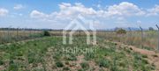 Parcel 809sqm for sale-Triglia » Nea Triglia