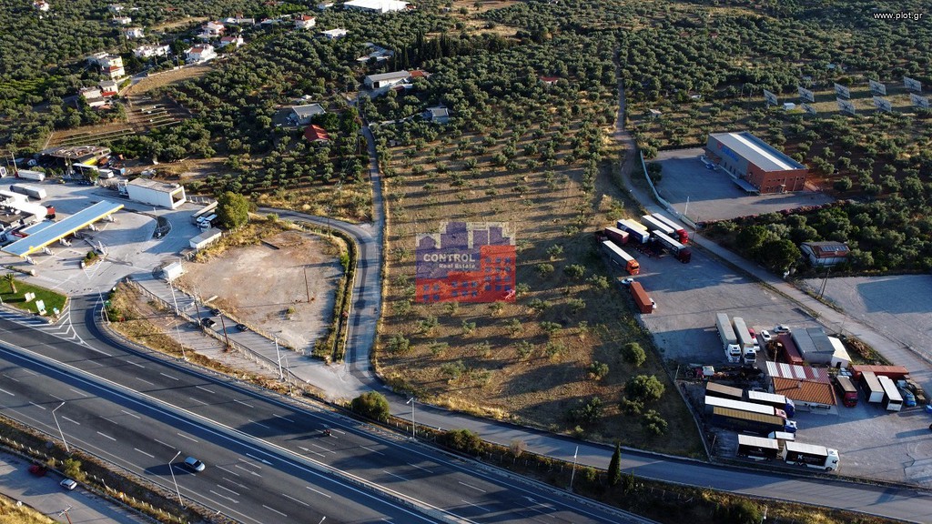 Αγροτεμάχια 12.000 τ.μ. για ενοικίαση, Αχαΐα, Αίγιο