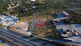 Αγροτεμάχια 12.000 τ.μ. για ενοικίαση