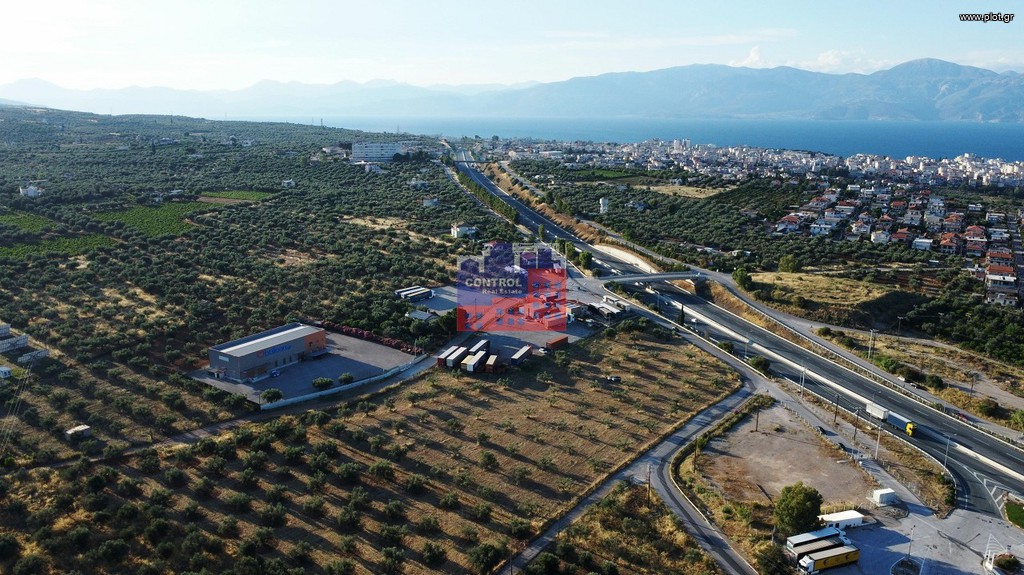 Αγροτεμάχια 12.000 τ.μ. προς ενοικίαση, Κέντρο Αιγίου