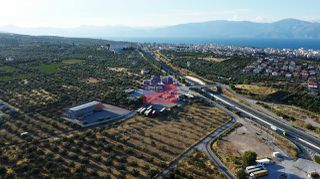 Αγροτεμάχια 12.000 τ.μ. για ενοικίαση, Αχαΐα, Αίγιο-thumb-2
