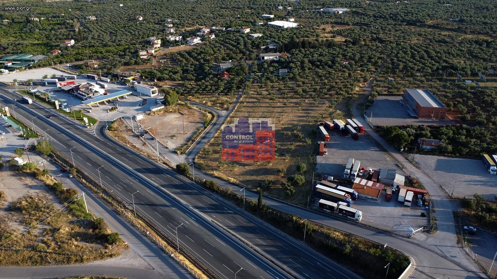 Αγροτεμάχια 12.000 τ.μ. προς ενοικίαση, Κέντρο Αιγίου