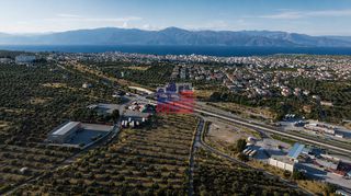 Αγροτεμάχια 12.000 τ.μ. για ενοικίαση, Αχαΐα, Αίγιο-thumb-5