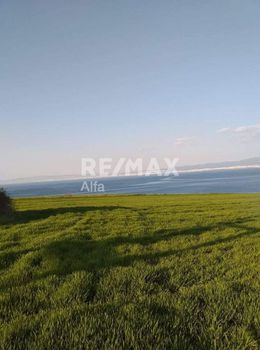 Αγροτεμάχια 13.000τ.μ. για πώληση-Μηχανιώνα » Αγγελοχώρι