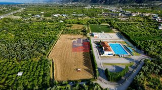 Αγροτεμάχια 12.000 τ.μ. για ενοικίαση
