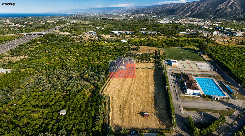 Αγροτεμάχια 12.000 τ.μ. πρός ενοικίαση, Αχαΐα, Αίγιο