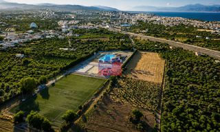 Αγροτεμάχια 12.000 τ.μ. για ενοικίαση, Αχαΐα, Αίγιο-thumb-5