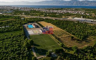 Αγροτεμάχια 12.000 τ.μ. για ενοικίαση, Αχαΐα, Αίγιο-thumb-6
