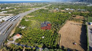 Αγροτεμάχια 12.000 τ.μ. για ενοικίαση, Αχαΐα, Αίγιο-thumb-8