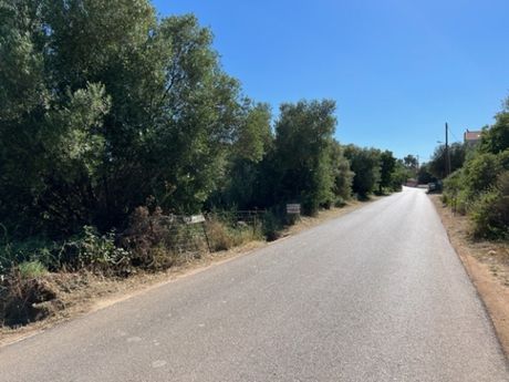 Αγροτεμάχια 7.439 τ.μ. για πώληση