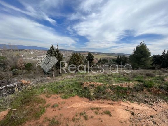 Land plot 500 sqm for sale, Chalkidiki, Panagia