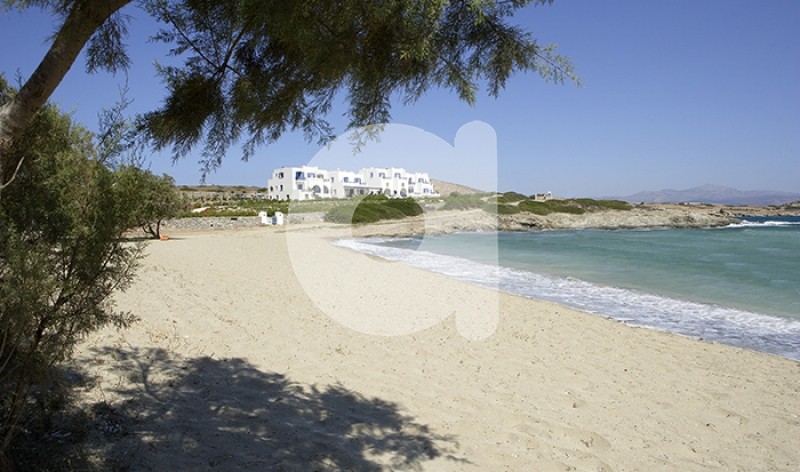 Οικόπεδο 6.000 τ.μ. πρός πώληση, Κυκλάδες, Σχοινούσα