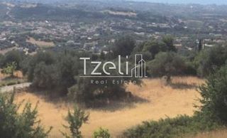 Μονοκατοικία 268 τ.μ. για πώληση, Αχαΐα, Μεσσατίδα-thumb-22