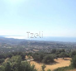 Μονοκατοικία 268 τ.μ. για πώληση, Αχαΐα, Μεσσατίδα-thumb-4