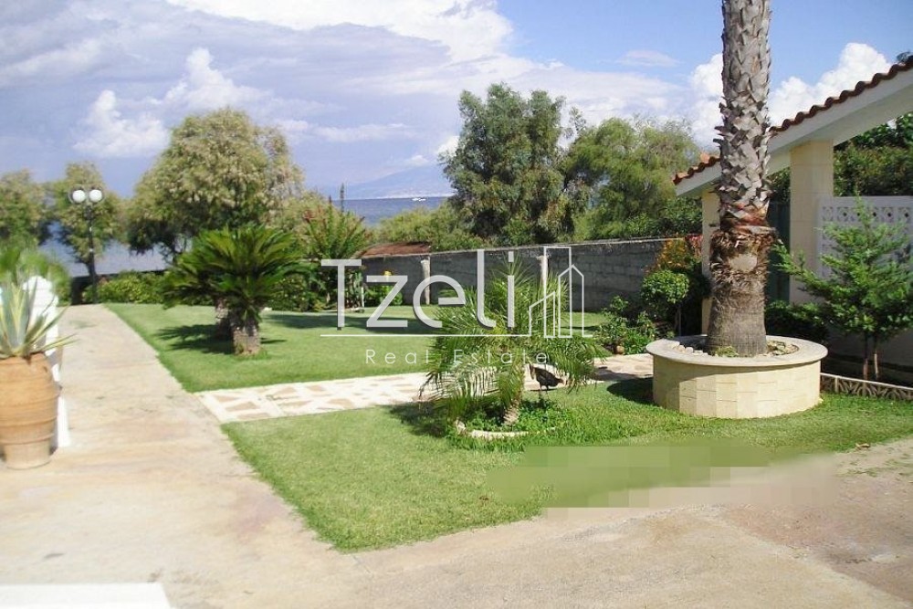 Μονοκατοικία 260 τ.μ. πρός πώληση, Αχαΐα, Λάρισσος