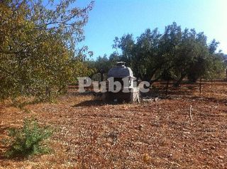 Οικόπεδο 2.300 τ.μ. για πώληση, Αττική - Υπόλοιπο, Κερατέα-thumb-9