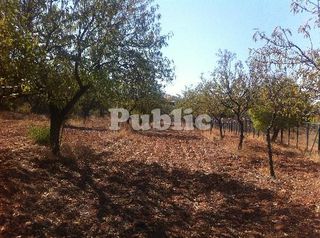 Οικόπεδο 2.300 τ.μ. για πώληση, Αττική - Υπόλοιπο, Κερατέα-thumb-10