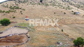 Αγροτεμάχια 15.407 τ.μ. προς πώληση, Αμφιθέα Νέσσωνα-thumb-8
