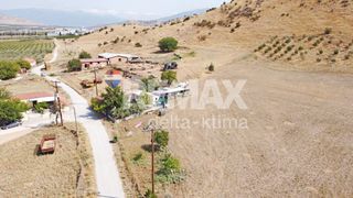 Αγροτεμάχια 15.407 τ.μ. προς πώληση, Αμφιθέα Νέσσωνα-thumb-3