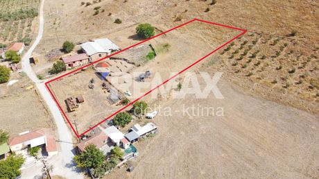 Αγροτεμάχια 15.407 τ.μ. πρός πώληση