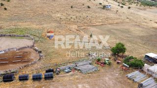 Αγροτεμάχια 15.407 τ.μ. προς πώληση, Αμφιθέα Νέσσωνα-thumb-7