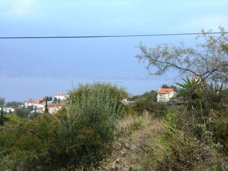 Οικόπεδο 550τ.μ. για πώληση-Βόλος » Νέες παγάσες