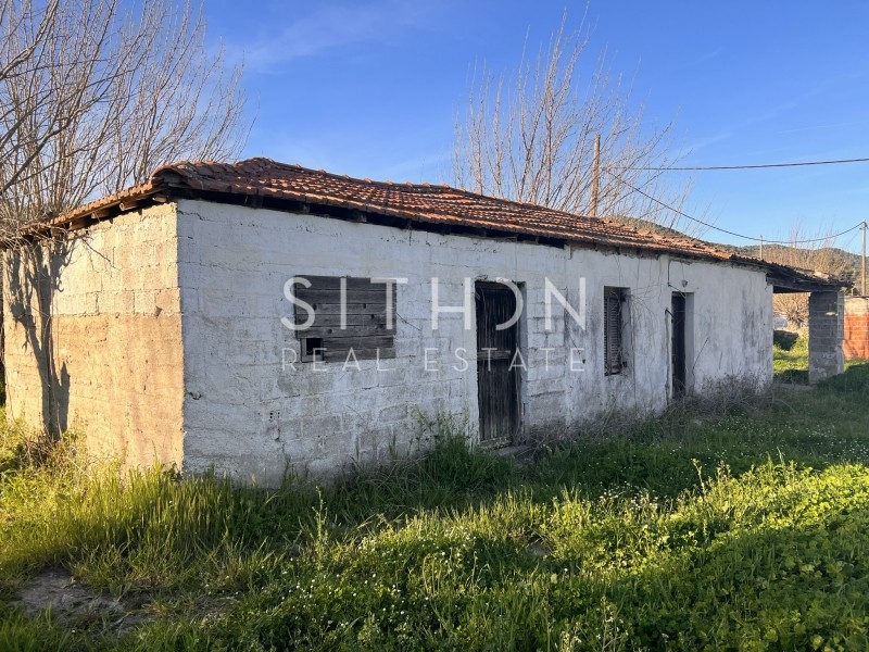 Αγροτεμάχια 3.183 τ.μ. προς πώληση, Συκιά Τορώνης