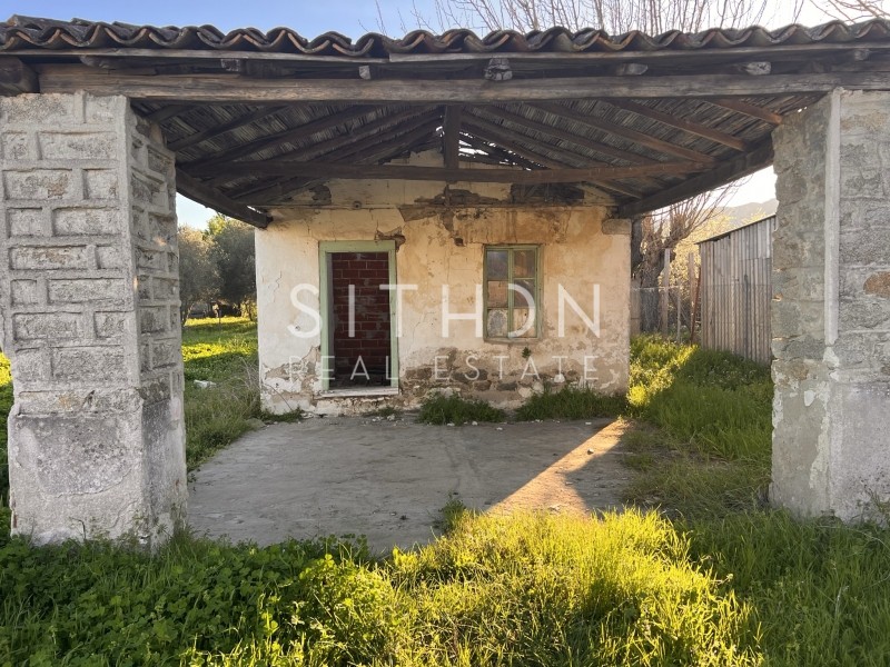 Αγροτεμάχια 3.183 τ.μ. προς πώληση, Συκιά Τορώνης