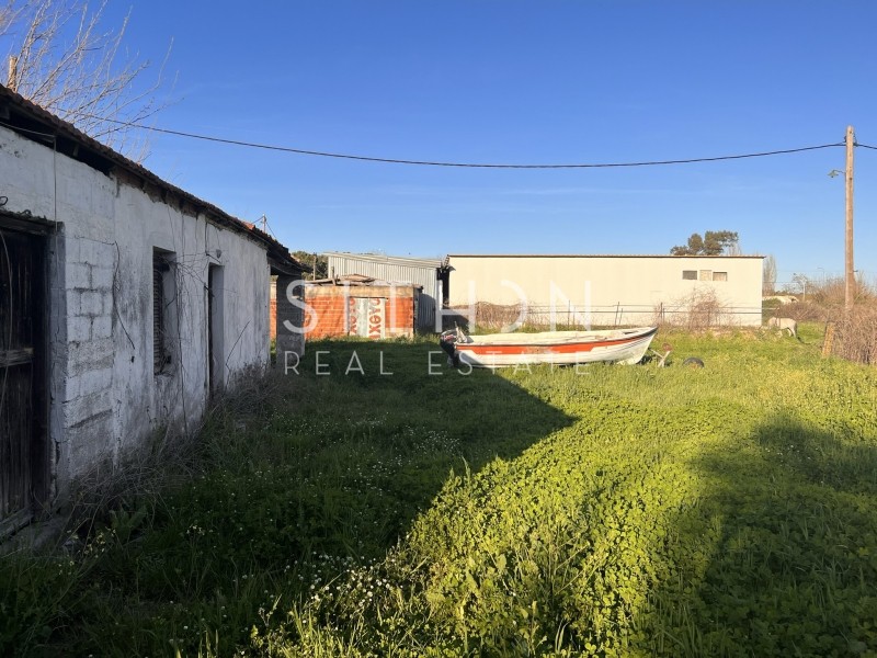 Αγροτεμάχια 3.183 τ.μ. προς πώληση, Συκιά Τορώνης