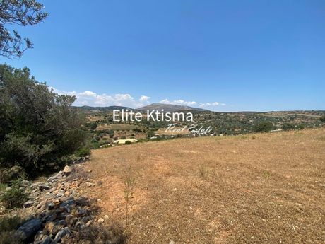 Αγροτεμάχια 10.000τ.μ. για πώληση-Κερατέα » Κέντρο