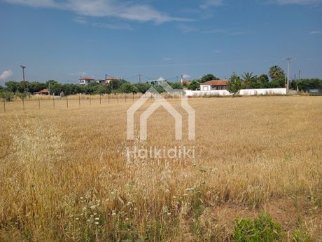 Αγροτεμάχια 3.221τ.μ. για πώληση-Κασσάνδρα » Κασσανδρηνό