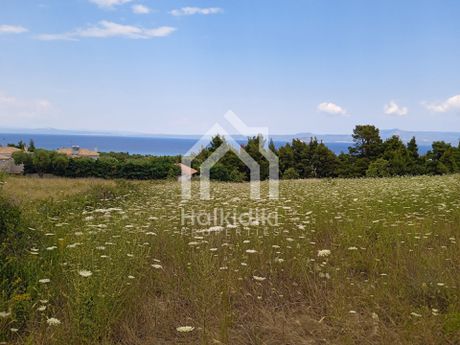 Αγροτεμάχια 4.218τ.μ. για πώληση-Κασσάνδρα » Κασσανδρηνό