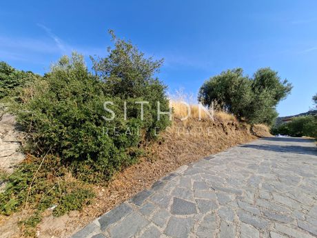 Αγροτεμάχια 3.612 τ.μ. προς πώληση