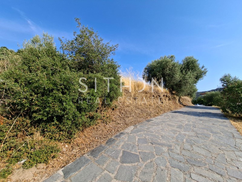 Αγροτεμάχια 3.612 τ.μ. προς πώληση, Συκιά Τορώνης