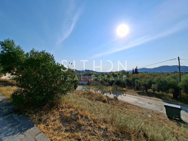 Αγροτεμάχια 3.612 τ.μ. προς πώληση, Συκιά Τορώνης