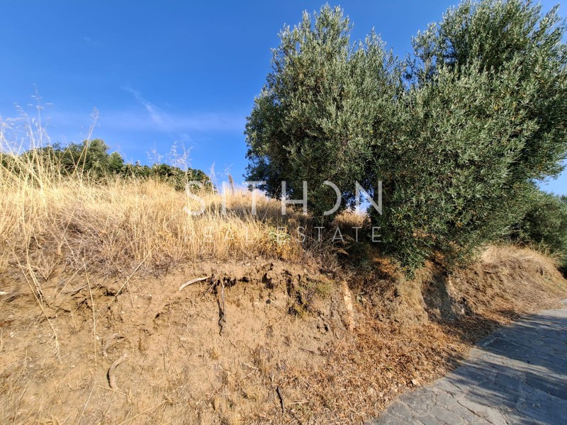Αγροτεμάχια 3.612 τ.μ. προς πώληση, Συκιά Τορώνης