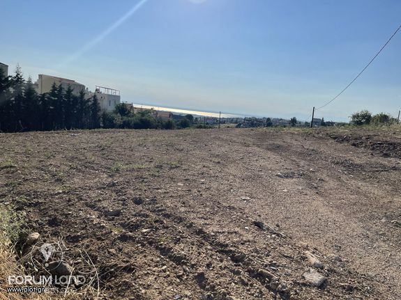 Αγροτεμάχια 3.446 τ.μ. για πώληση, Θεσσαλονίκη - Περιφ/Κοί Δήμοι, Πανόραμα