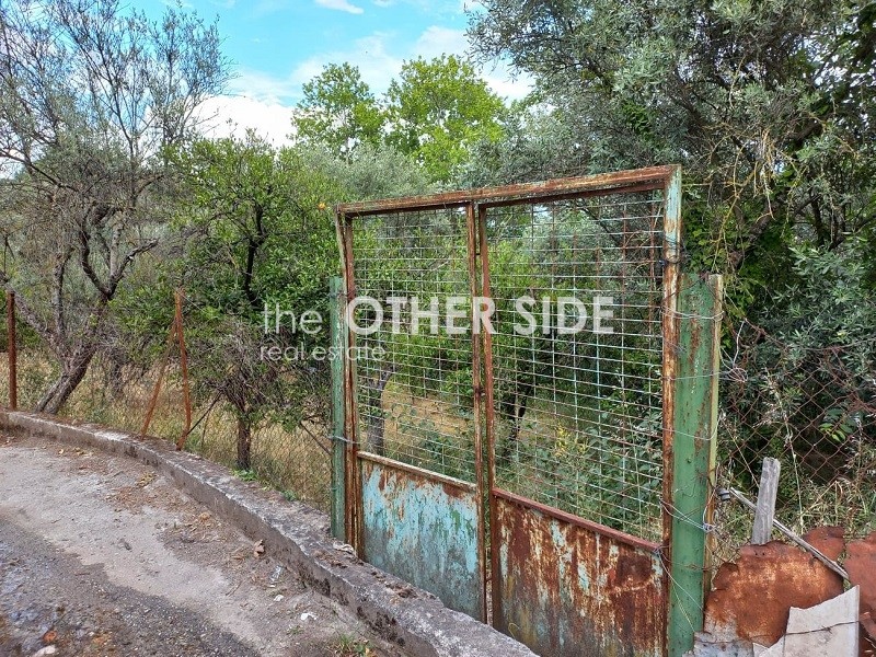 Οικόπεδο 1.033 τ.μ. προς πώληση, Ξηροκάμπι Φαρίδας