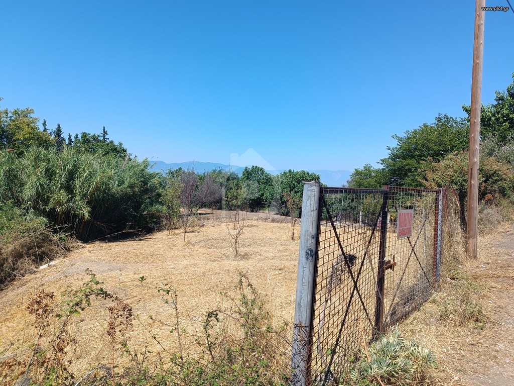 Οικόπεδο 557 τ.μ. για πώληση, Εύβοια, Λιχάδα