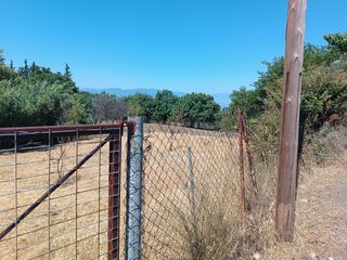 Οικόπεδο 557 τ.μ. για πώληση, Εύβοια, Λιχάδα-thumb-7
