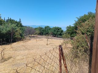 Οικόπεδο 557 τ.μ. για πώληση, Εύβοια, Λιχάδα-thumb-10