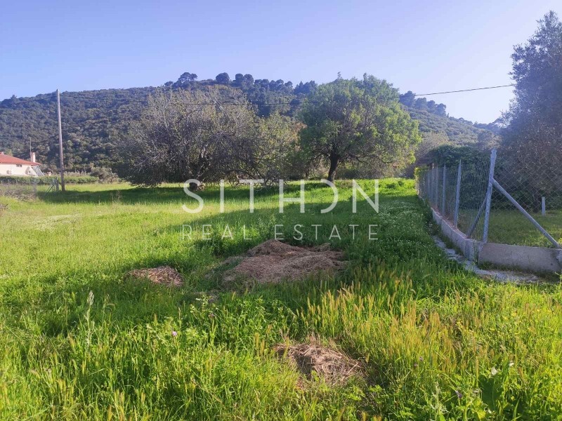 Αγροτεμάχια 4.013 τ.μ. προς πώληση, Άγιος Νικόλαος Σιθωνίας