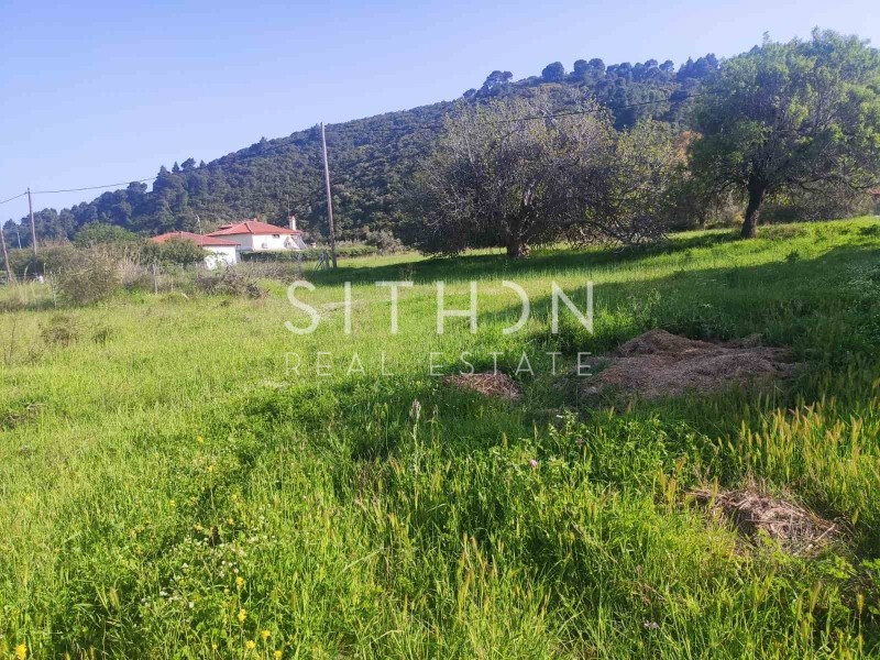 Αγροτεμάχια 4.013 τ.μ. προς πώληση, Άγιος Νικόλαος Σιθωνίας