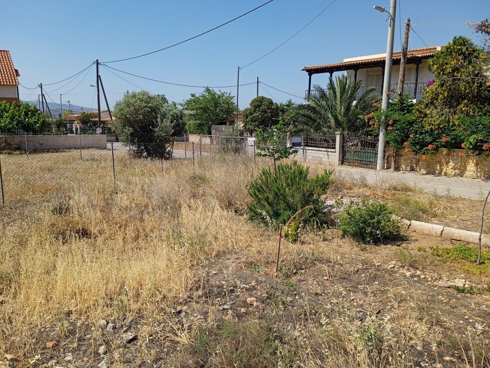Οικόπεδο 228 τ.μ. πρός πώληση, Αττική - Υπόλοιπο, Νέα Πέραμος (μεγάλο Πεύκο)