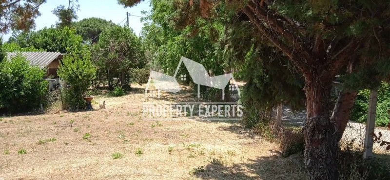 Αγροτεμάχια 1.200 τ.μ. πρός πώληση, Εβρος, Αλεξανδρούπολη