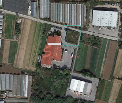 Αγροτεμάχια 1.000τ.μ. για πώληση-Εχέδωρος » Διαβατά
