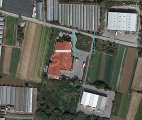 Αγροτεμάχια 1.000 τ.μ. για πώληση