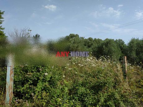 Parcel 500sqm for sale-Moudania » Nea Potidaia