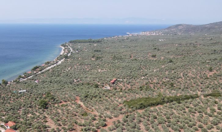 Αγροτεμάχια 800 τ.μ. για πώληση, Ν. Καβάλας, Θάσος